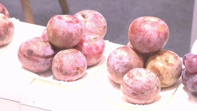 上海对口地区特色商品展销会开幕，“足不出沪”享各地好物