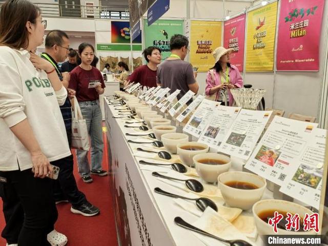 2024昆山国际咖啡产业展览会开幕 全球展商争夺“咖位”
