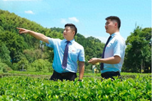 “贷”动产业兴旺，“惠”出振兴画卷