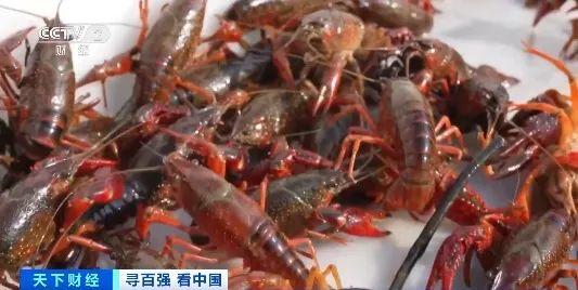 太火了！百亿级产业“大龙头”→