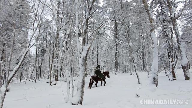 【C财经】冰雪产业大有可为：解锁“冷资源”，释放“热效应”