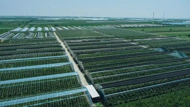 我们的2024：产业融合聚活力 奏响振兴“奋进曲”