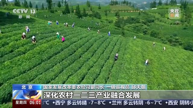 如何进一步推动乡村产业高质量发展？有了更明确的方向指引