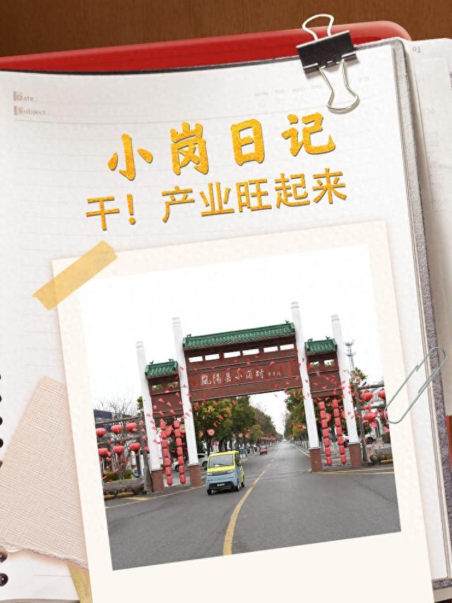 小岗日记｜干！产业旺起来