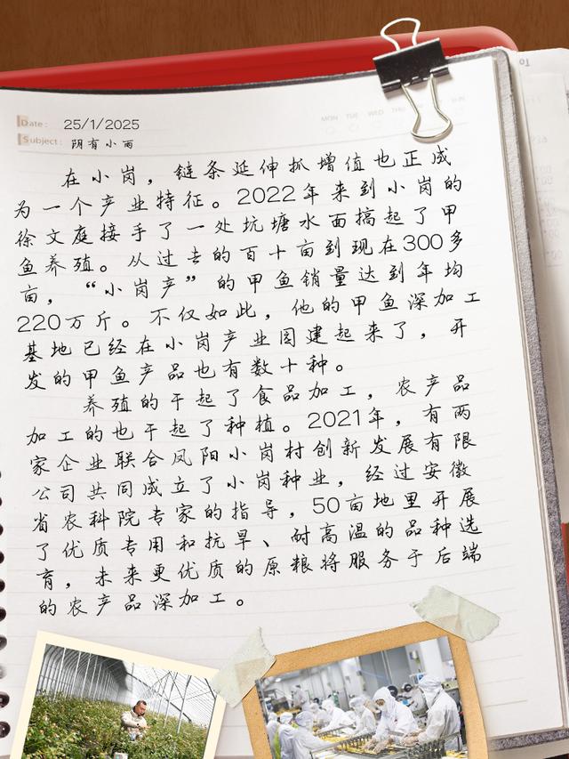小岗日记｜干！产业旺起来