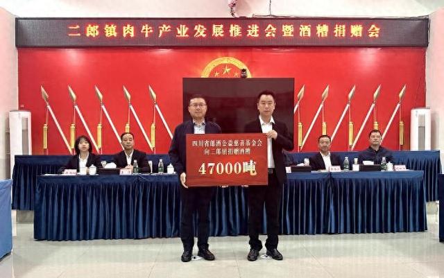产业扶持，探索可持续公益项目发展模式