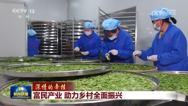 富民产业 助力乡村全面振兴