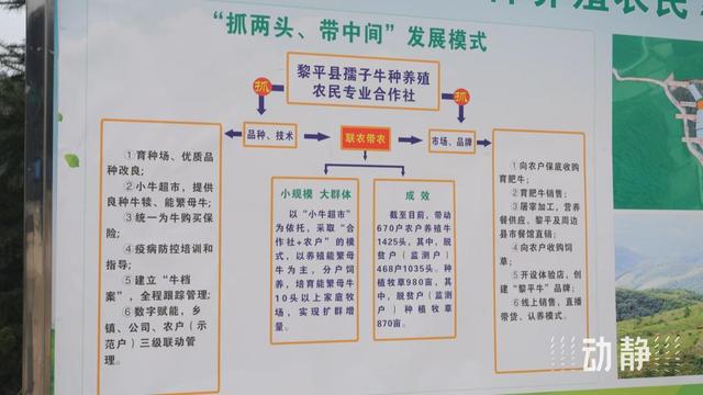 土特产不“土” ，新产业更旺