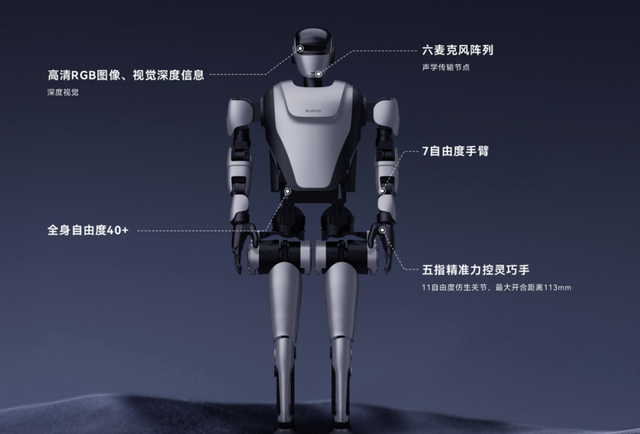 “小龙”大作战？起底北京、深圳、杭州、上海具身智能产业圈