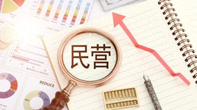 产业推陈出新，这些民营企业“走出一条新路子”