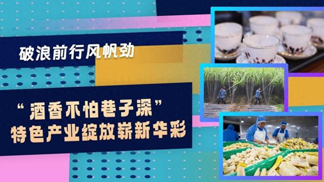 破浪前行风帆劲｜“酒香不怕巷子深” 特色产业绽放崭新华彩