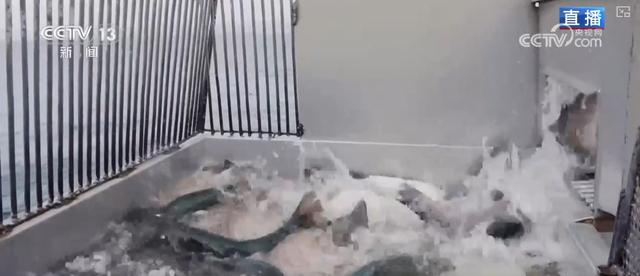 “比拼”底气足！冰冷湖水孕育“热产业” 小企业“闯”出海外大市场