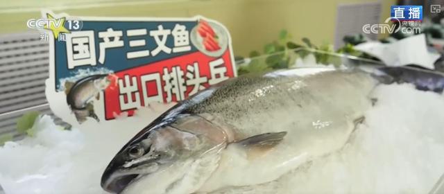 “比拼”底气足！冰冷湖水孕育“热产业” 小企业“闯”出海外大市场
