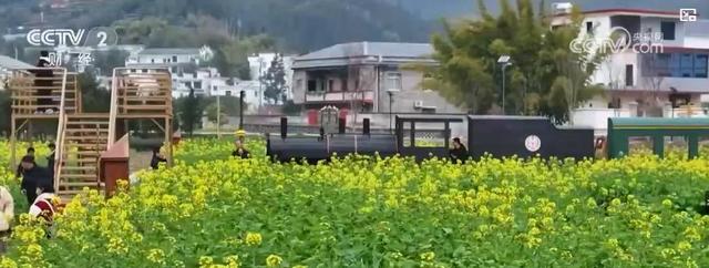 “赏花+”产业激活乡村活力 成为新经济增长点