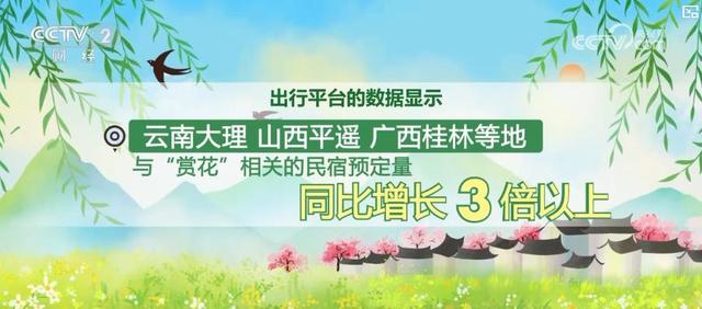 “赏花+”产业激活乡村活力 成为新经济增长点