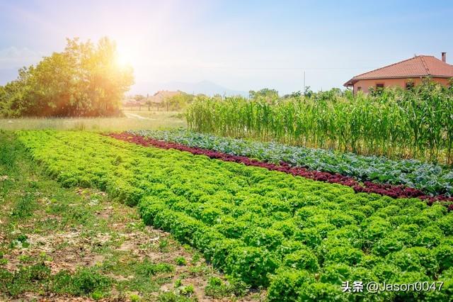 农业如是下一个风口，最适合干的十大产业（生态农场与有机农业）