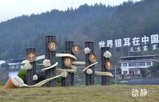 产业破题 绘就老区振兴新画卷