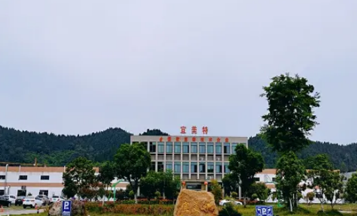 科技赋能擎起产业新未来——宜昌创新驱动助推新型工业化进阶跃升