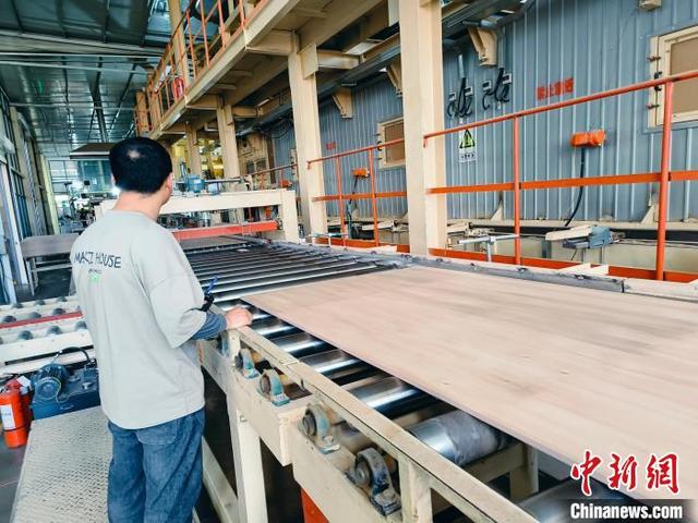山东各地特色产业借“智”突围 解锁高质量发展新密码