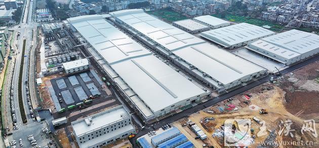 奋楫扬帆 跑出产业发展“加速度”