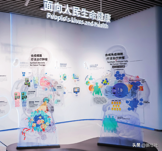 瞭望·治国理政纪事｜挺起产业脊梁