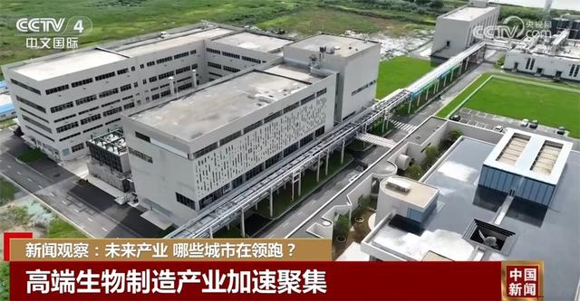政策“东风”劲吹 投入增长机制驱动未来产业“加速跑”